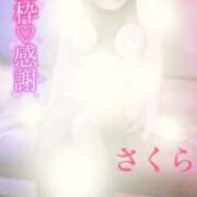 ヒメ日記 2026/01/11 16:11 投稿 さくら エレガンス(広島)