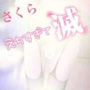 ヒメ日記 2026/01/12 07:58 投稿 さくら エレガンス(広島)