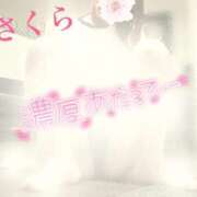 ヒメ日記 2026/01/14 08:23 投稿 さくら エレガンス(広島)