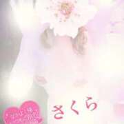 ヒメ日記 2026/02/09 17:48 投稿 さくら エレガンス(広島)