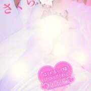 ヒメ日記 2026/02/12 08:08 投稿 さくら エレガンス(広島)