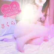 ヒメ日記 2026/02/12 08:18 投稿 さくら エレガンス(広島)