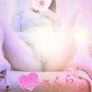 ヒメ日記 2026/02/13 16:01 投稿 さくら エレガンス(広島)