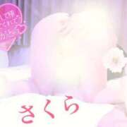 ヒメ日記 2026/02/18 16:08 投稿 さくら エレガンス(広島)