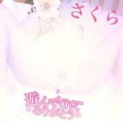 ヒメ日記 2026/02/18 16:20 投稿 さくら エレガンス(広島)