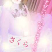 ヒメ日記 2026/02/19 07:31 投稿 さくら エレガンス(広島)