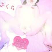 ヒメ日記 2026/02/22 11:18 投稿 さくら エレガンス(広島)