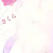 ヒメ日記 2026/02/25 20:28 投稿 さくら エレガンス(広島)