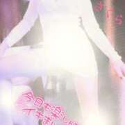 ヒメ日記 2026/02/26 08:11 投稿 さくら エレガンス(広島)