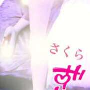 ヒメ日記 2026/02/27 08:18 投稿 さくら エレガンス(広島)