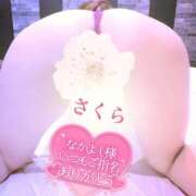 ヒメ日記 2026/03/01 06:58 投稿 さくら エレガンス(広島)