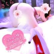 ヒメ日記 2026/03/01 07:38 投稿 さくら エレガンス(広島)