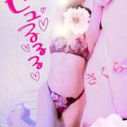 ヒメ日記 2026/03/04 08:12 投稿 さくら エレガンス(広島)