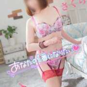 ヒメ日記 2026/03/10 07:46 投稿 さくら エレガンス(広島)