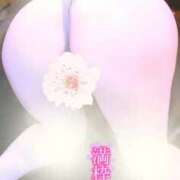 ヒメ日記 2026/03/20 07:11 投稿 さくら エレガンス(広島)