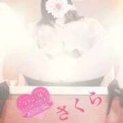 ヒメ日記 2026/04/12 13:08 投稿 さくら エレガンス(広島)