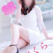 ヒメ日記 2026/04/23 16:48 投稿 さくら エレガンス(広島)