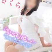 ヒメ日記 2026/09/29 08:58 投稿 さくら エレガンス(広島)