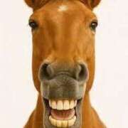 ヒメ日記 2026/01/01 19:33 投稿 体験まき ACCENT[アクセントグループ]