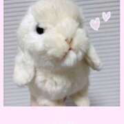 ヒメ日記 2025/01/24 20:41 投稿 かずは ママれもん葛西店