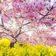 ヒメ日記 2025/03/07 19:42 投稿 まりか 人妻小旅行