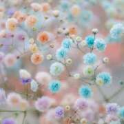 ヒメ日記 2025/04/20 13:22 投稿 まりか 人妻小旅行