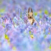 ヒメ日記 2025/05/18 17:03 投稿 まりか 人妻小旅行