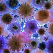 ヒメ日記 2025/05/25 12:42 投稿 まりか 人妻小旅行