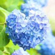 ヒメ日記 2025/05/30 17:22 投稿 まりか 人妻小旅行