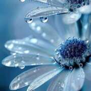 ヒメ日記 2025/06/10 13:12 投稿 まりか 人妻小旅行