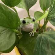 ヒメ日記 2025/06/23 19:17 投稿 まりか 人妻小旅行