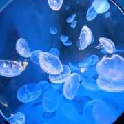 ヒメ日記 2025/07/02 18:57 投稿 まりか 人妻小旅行