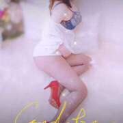 ヒメ日記 2025/12/10 11:44 投稿 綾野 りこ こあくまな熟女たち 高松店（KOAKUMAグループ）