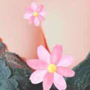 ヒメ日記 2025/12/11 00:28 投稿 綾野 りこ こあくまな熟女たち 高松店（KOAKUMAグループ）