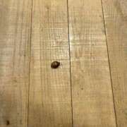 ヒメ日記 2025/04/06 20:15 投稿 りず ぷるるん小町梅田店