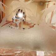 りず 明日は ぷるるん小町梅田店