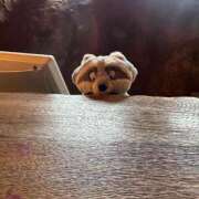 ヒメ日記 2024/12/30 23:42 投稿 せりな G-SPOT 土浦店