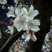 ヒメ日記 2025/04/11 14:08 投稿 せりな G-SPOT 土浦店