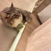 ヒメ日記 2025/04/13 09:15 投稿 せりな G-SPOT 土浦店