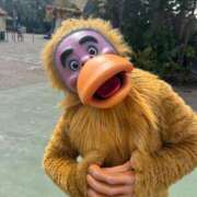 ヒメ日記 2025/05/01 19:03 投稿 せりな G-SPOT 土浦店