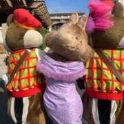 ヒメ日記 2025/09/04 21:40 投稿 せりな G-SPOT 土浦店