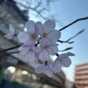 ヒメ日記 2026/03/27 13:16 投稿 せりな G-SPOT 土浦店