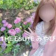 ヒメ日記 2025/04/19 15:31 投稿 みやび THE ESUTE 五反田店