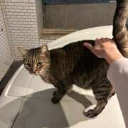 ヒメ日記 2025/05/02 17:09 投稿 けい 素人・人妻 SHIRAYURI（しらゆり）