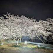 ヒメ日記 2025/04/17 18:21 投稿 西本 愛妻倶楽部 宇都宮店