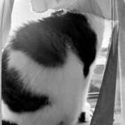 ヒメ日記 2025/05/05 11:17 投稿 西本 愛妻倶楽部 宇都宮店