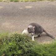 ヒメ日記 2025/06/17 19:08 投稿 西本 愛妻倶楽部 宇都宮店