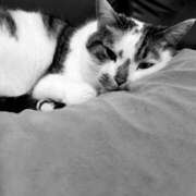 ヒメ日記 2025/06/22 18:21 投稿 西本 愛妻倶楽部 宇都宮店