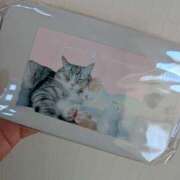 ヒメ日記 2025/07/07 19:50 投稿 西本 愛妻倶楽部 宇都宮店