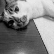 ヒメ日記 2025/07/10 20:55 投稿 西本 愛妻倶楽部 宇都宮店